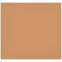 Foto foni - Westcott X-Drop Pro Wrinkle-Resistant Backdrop - Brown Sugar (2.4 x 2.4 m) - ātri pasūtīt no ražotāja