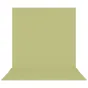 Foto foni - Westcott X-Drop Pro Wrinkle-Resistant Backdrop - Light Green Moss Sweep (2.4 x 4 m) - ātri pasūtīt no ražotāja