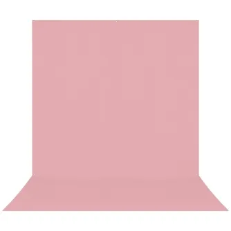 Foto foni - Westcott X-Drop Pro Wrinkle-Resistant Backdrop - Blush Pink Sweep (2.4 x 4 m) - ātri pasūtīt no ražotāja