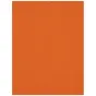 Westcott X Drop Kreukbestendige Achtergrond Tijger Oranje (1.5 x 2.1 m) 540