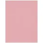 Foto foni - Westcott X-Drop Wrinkle-Resistant Backdrop - Blush Pink (1.5 x 2.1 m) - ātri pasūtīt no ražotāja