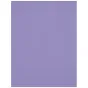 Foto foni - Westcott X-Drop Wrinkle-Resistant Backdrop - Periwinkle Purple (1.5 x 2.1 m) - ātri pasūtīt no ražotāja