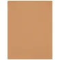 Foto foni - Westcott X-Drop Wrinkle-Resistant Backdrop - Brown Sugar (1.5 x 2.1 m) - ātri pasūtīt no ražotāja