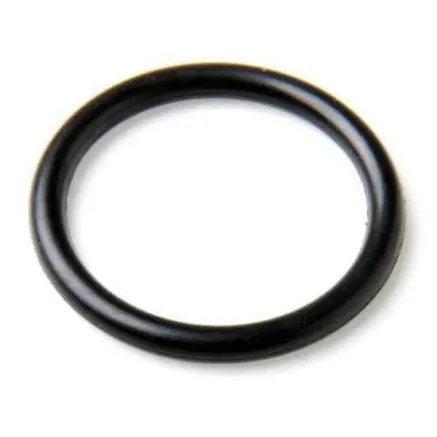Bresser LUNT O-ring 34mm for Pressure-Tuner at MT & THa solar telescopes