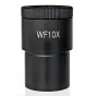 Mikroskopi - BRESSER WF10x 30mm Eyepiece Micrometer - ātri pasūtīt no ražotāja