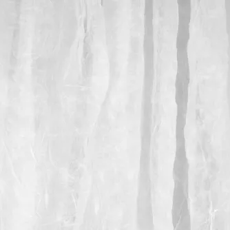 Backgrounds - Walimex Cloth Background 2,85x6m, white - quick order from manufacturer Best choise selected by experts
