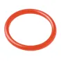 Teleskopi - Bresser LUNT O-ring for Pressure-Tuner at LS50THa solar telescopes - ātri pasūtīt no ražotāja