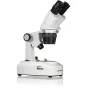 Mikroskopi - BRESSER Researcher ICD LED 20x-80x Stereo Microscope - ātri pasūtīt no ražotāja