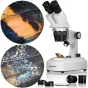 Mikroskopi - BRESSER Researcher ICD LED 20x-80x Stereo Microscope - ātri pasūtīt no ražotāja