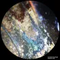Mikroskopi - BRESSER Analyth STR 10x - 40x stereo microscope - ātri pasūtīt no ražotāja