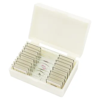 Mikroskopi - BRESSER prepared slides, high quality, set of 10 - ātri pasūtīt no ražotāja