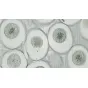 Mikroskopi - BRESSER prepared slides, high quality, set of 10 - ātri pasūtīt no ražotāja