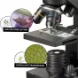 Mikroskopi - Bresser NATIONAL GEOGRAPHIC 40x-1280x Microscope with Smartphone holder - ātri pasūtīt no ražotāja