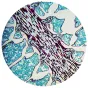 Mikroskopi - BRESSER Biolux NV 20x-1280x Microscope with HD USB camera - ātri pasūtīt no ražotāja