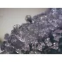 Mikroskopi - BRESSER Erudit ICD Stereo Microscope (30.5) - ātri pasūtīt no ražotāja