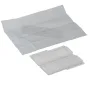 Mikroskopi - BRESSER Blank Slide with 0.1 & 0.01mm micrometer - ātri pasūtīt no ražotāja