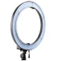 LED Gredzenveida lampas - BRESSER BR-RL18 immable LED Daylight Ring Light 55W/5760 Lumens with Carry Bag - ātri pasūtīt no ražotāja