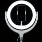 LED Gredzenveida lampas - BRESSER BR-RL 10B LED Ringlight with stand and USB connection - ātri pasūtīt no ražotāja