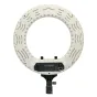 Ring Light - Caruba Round Vlogger 12 inch LED Set met Tas - Wit - quick order from manufacturer