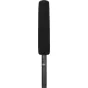 Sortimenta jaunumi - BOYA BY-BM6060L / BOOM MICROPHONE (LONG) BY-BM6060L - ātri pasūtīt no ražotāja