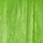Foto foni - walimex Cloth Background 3x6m green - ātri pasūtīt no ražotāja