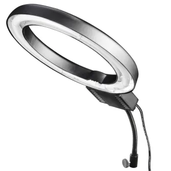 Ring Light - Walimex Ring Light 40W - quick order from manufacturer