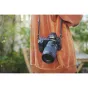 Mirrorless Lenses - Nikon NIKKOR Z 28-75mm f/2.8 - quick order from manufacturer