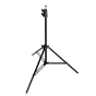 Statīvi apgaismojumam - AVX Studio Light Stand 824G TRIPOD2M - ātri pasūtīt no ražotāja