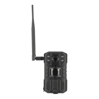 Sortimenta jaunumi - Redleaf RD6300 LTE Trail Camera - ātri pasūtīt no ražotāja