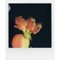 Momentfoto kamera - Polaroid I-2 jauna augstas kvalitātes momentāla instant kamera i-Type - perc šodien veikalā un ar piegādi