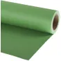 Backgrounds - Manfrotto background 2.75x11m, leaf green (9046) - quick order from manufacturer