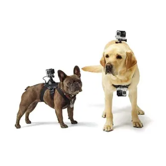 Sporta kameru aksesuāri - GOPRO FETCH (DOG HARNESS) - ātri pasūtīt no ražotāja