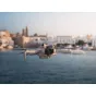 DJI Drone - DJI MINI PRO 4 drone w. DJI RC 2 remote - quick order from manufacturer