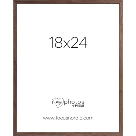 FOCUS ROCK WALNUT VENEER 18X24 120977