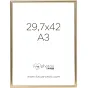 Sortimenta jaunumi - FOCUS CAN-CAN SHINY GOLD 29,7X42 (A3) 114227 - ātri pasūtīt no ražotāja