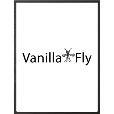 FOCUS ROCK BLACK 30X40 VANILLA FLY 100497