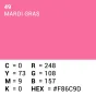 Superior Achtergrond Rol Mardi Gras (nr 49) 1.35m x 11m 