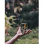 Braun track camera Scouting Cam Black800 Mini