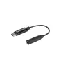 Audio cables, adapters - Adapter Saramonic SR-C2003 - mini Jack / USB-C - quick order from manufacturer