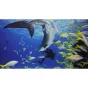 GoPro Dive Housing AFDIV-001 (HERO11 Black Mini)