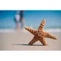 Objektīvi - Nikon 50mm F1.8G FX AF-S Nikkor FullFrame - perc šodien veikalā un ar piegādi