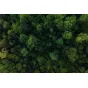 DJI Droni - DJI Mavic 3 Pro Fly More Combo DJI RC w. screen professional drone + two batteries, charging Hub, ND Set - perc šodien veikalā un ar piegādi