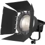 NANLITEFORZA300BIIBICOLORNANLITEFL-20GFRESNELFORFORZA126601