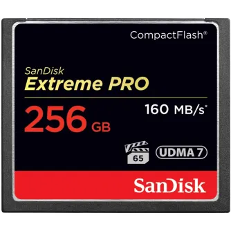 SanDiskExtremePROCompactFlashCard160MBs256GB