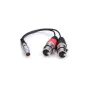 AtomosXLRBreakoutCable(inputonly)(ATOMCAB017)