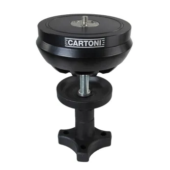 CartoniHalfBowl100mm(AT923)