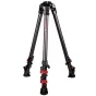 iFootage Wildbull Tripod T7S-Carbon Fiber trikojis su raudonais užraktas, reguliuojamomis kojomis ir greito atlaisvinimo plokšte stabiliai vaizdo filmavimui