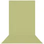 WestcottX-DropWrinkle-ResistantBackdrop-MosGroenSweep(5x12)543S