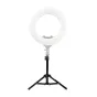 CarubaLampstatiefLS-5050cmLS50