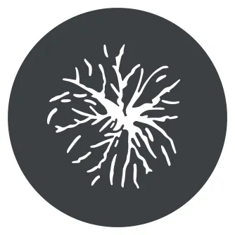 Produkto paveikslėlis